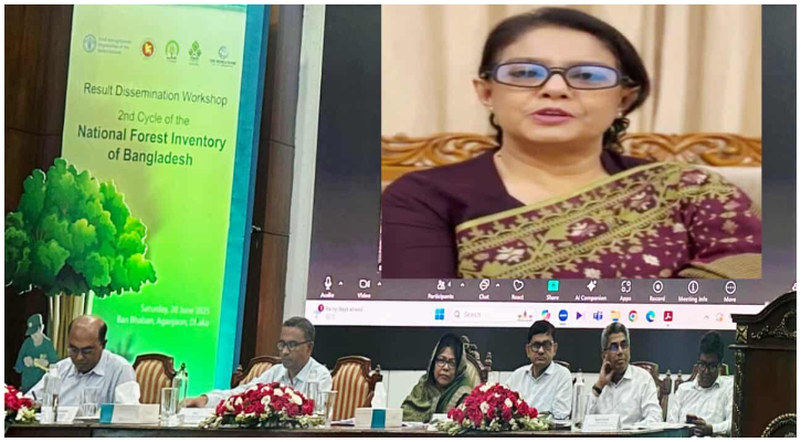 বন ও প্রাকৃতিক সম্পদের ব্যবস্থাপনায় সবার অংশগ্রহণ জরুরি: পরিবেশ উপদেষ্টা 